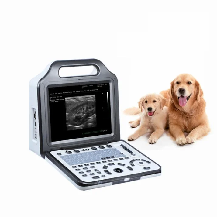 B/W Portable Veterinary Ultrasound System Digital Ultrasonic Diagnositc Device for Animal