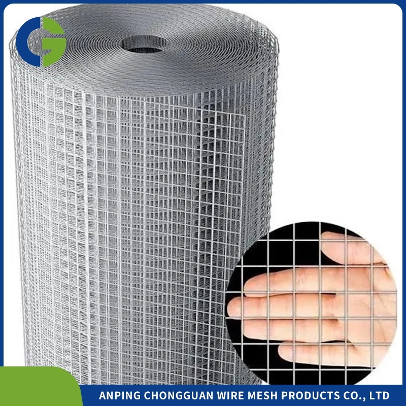 Silver Electro Galvanized/ Hot Dipped Galvanized Welded Wire Mesh Roll and Panel