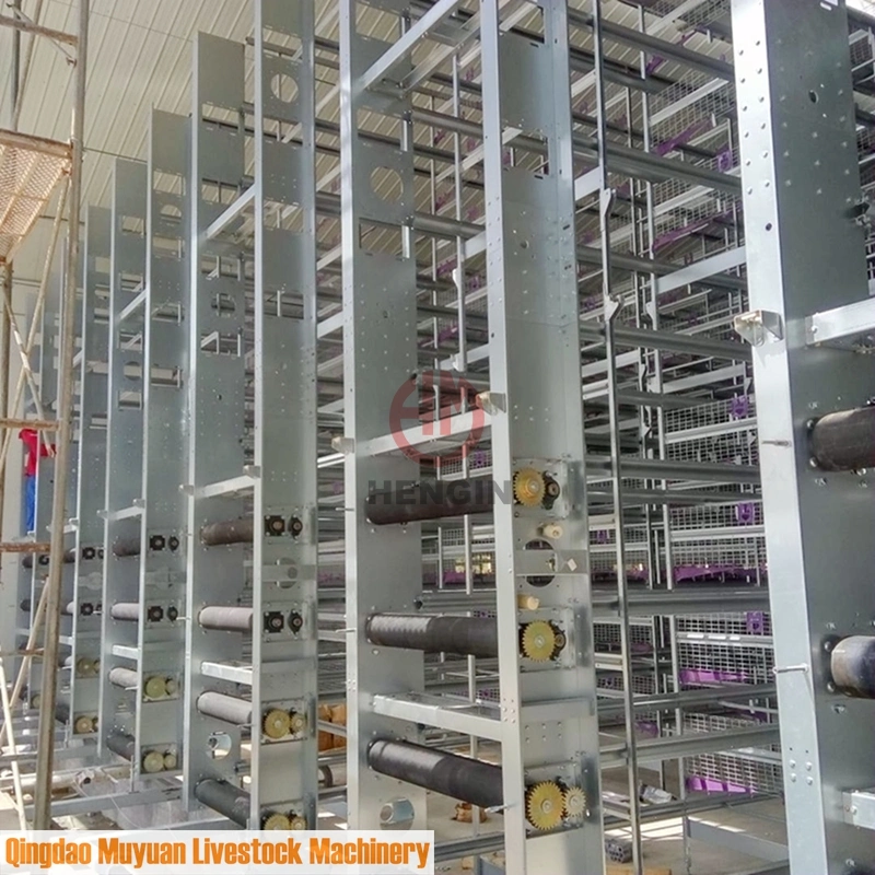 5-Tier Poultry Farm Battery Layer Chicken Cage for Livestock Machinery