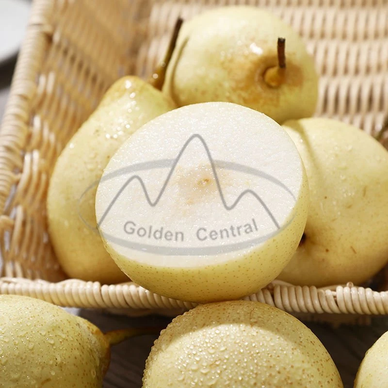 Factory Offer Sweet Fresh Fruit Ya Pears Gold Pears with Competitive Price