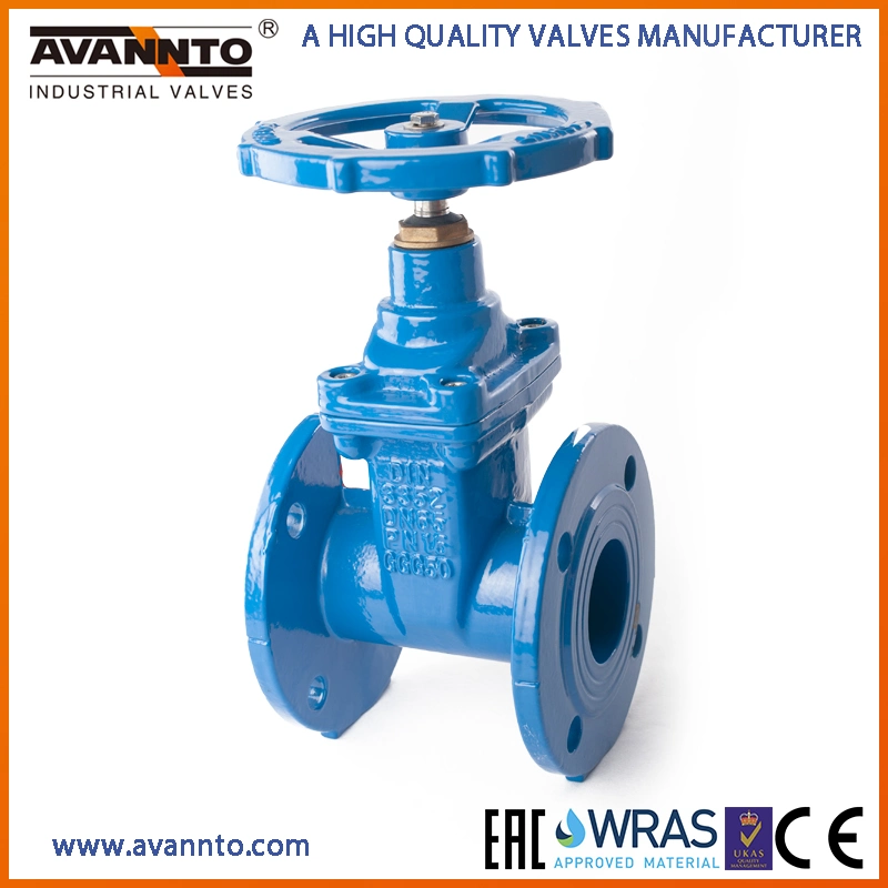 Good Product DIN3202 F4 F5 Wras Acs CE Ggg40/50 Ductile Cast Iron Non-Rising Stem OS&Y Resilient Seated Flanged Wedge Water Gate Valves Form Manufacturer