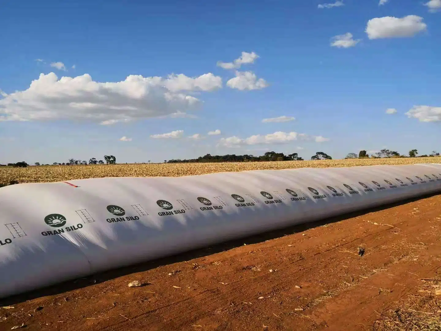 Silage Bags Offer an Easy, Safe and Economic Way for Temporary Storage of Maize, Grass