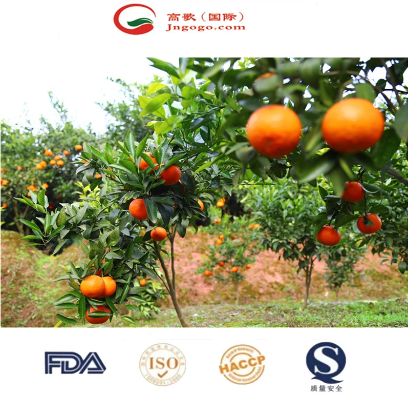 Fresh, Sweet and High-Quality Mandarin From China