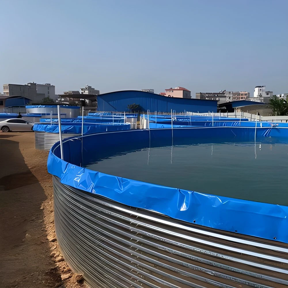 Aquaculture Réservoirs d'élevage de poissons pour l'élevage de crevettes