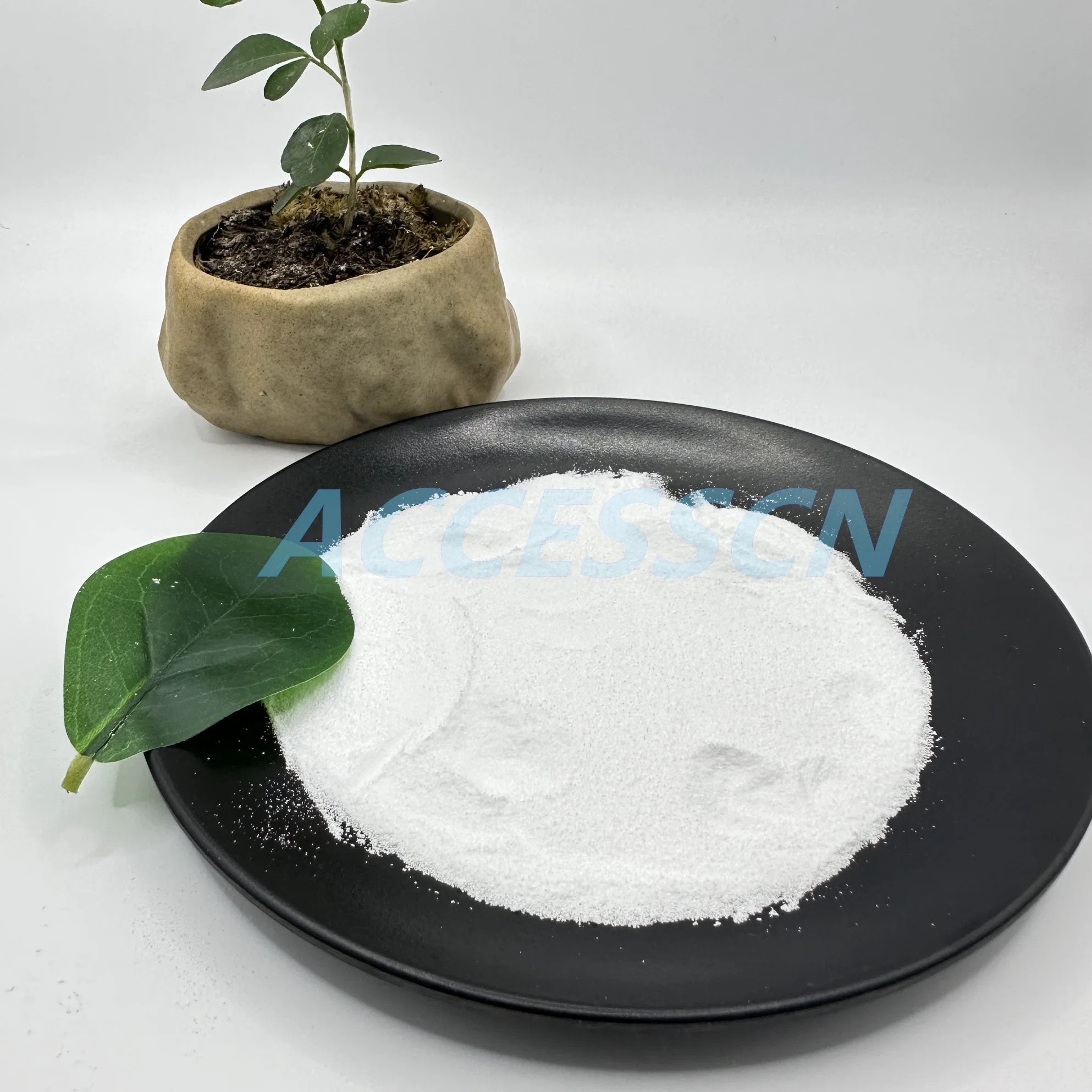 GMP Factory Manufacturer Supply Niacinamide CAS 98-92-0 Vitamin B3 Powder