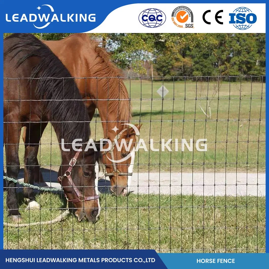 Leadwalking Metal Livestock Fencing OEM Customized Cattle Fence 4X4 Manufacturers China 0.8-2.5 Height 3 Rail White Vinyl Horse Fence Wire Mesh