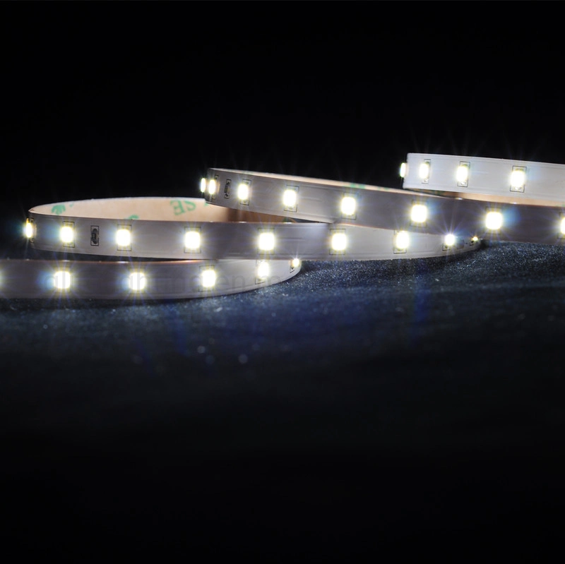 Flexible Rope Light SMD2835 128LEDs DC24V IP20 Used for House Decoration