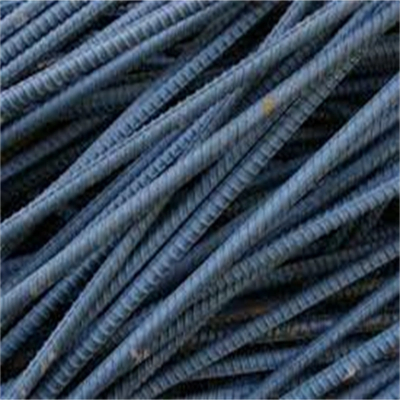 Good Quality and Best Factory Price Steel Rebar/Deformed Steel Bar/Reinforced Steel