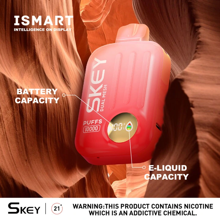 Cesser de fumer Vapping Appliance Skey iSmart 10000 Puffs jetable électronique Cigare