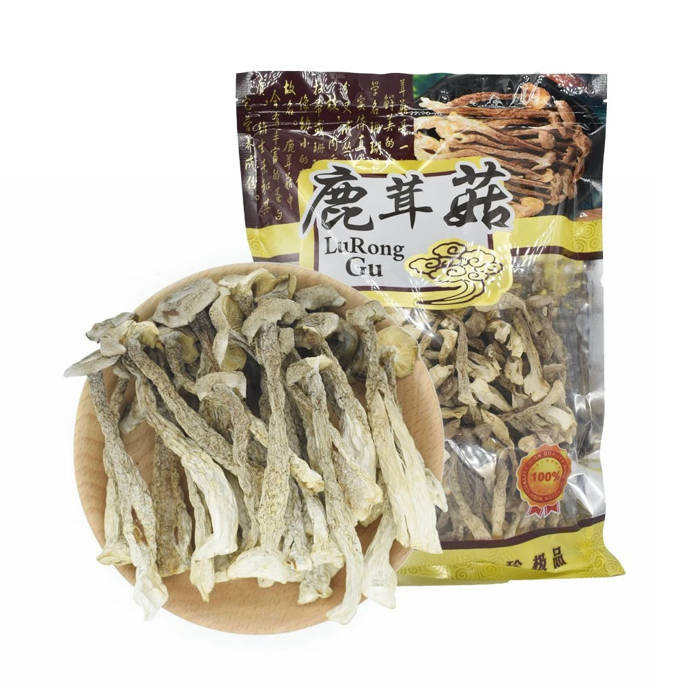 Long-Term Storage Bulk Organic Foods Pilose Antler Mushroom