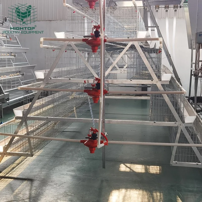 Zinc Aluminum Multi Tiers  Layer Chicken Cage With Automatic Drinking And Feeding System