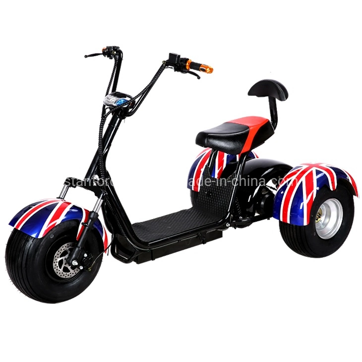 Strong Power 1000W 3 Wheels Long Range Cheap Price Electric Trike Scooter Adult Electric Tricycle Citycoco for Elder