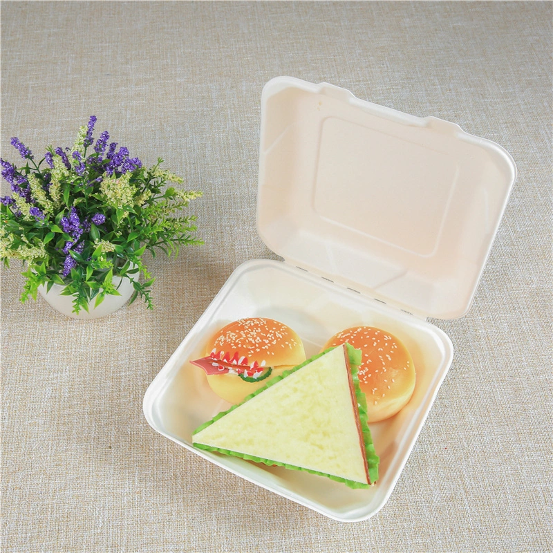 Sugar Cane 3 Compartment Food Container Lunch Disposable Bagasse Box