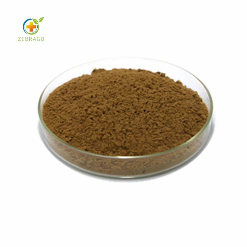 Best Quality Wort Extract Hypericin Low Price From Zerbago
