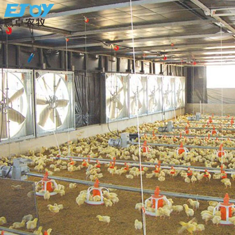 Maquinaria agrícola sistema alimentador de Aves de Corral de Pollos de Equipos de alimentación automática de pan