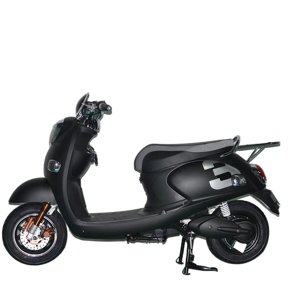 Fashionable1000W Electric Motorcycle for Adult