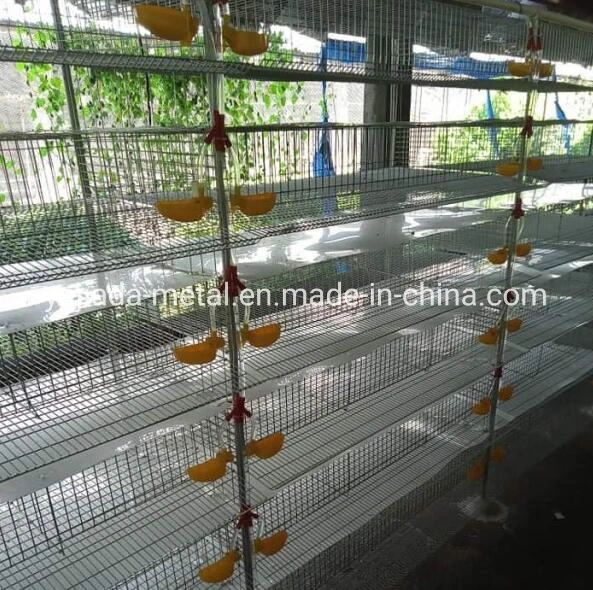 Poultry Famer Equipment Bird Cage for Quail