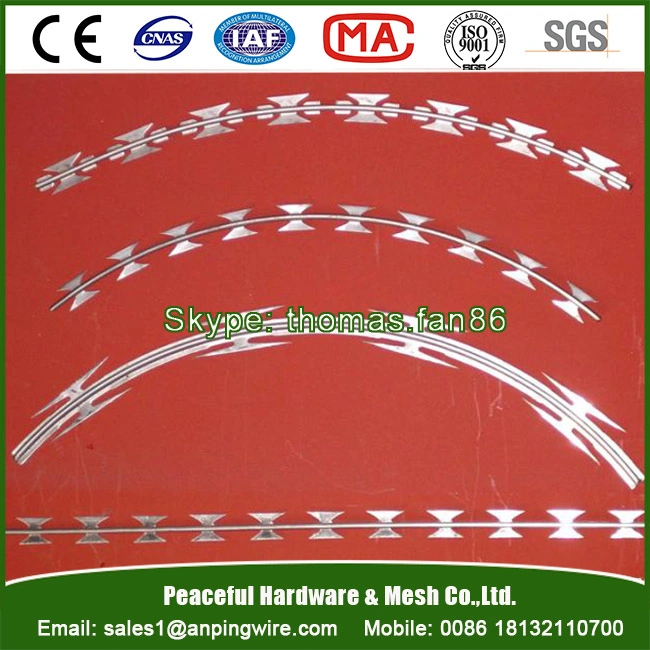 Razor Tape Concertina Wire for Stainless Steel or Galvanized Bto-22