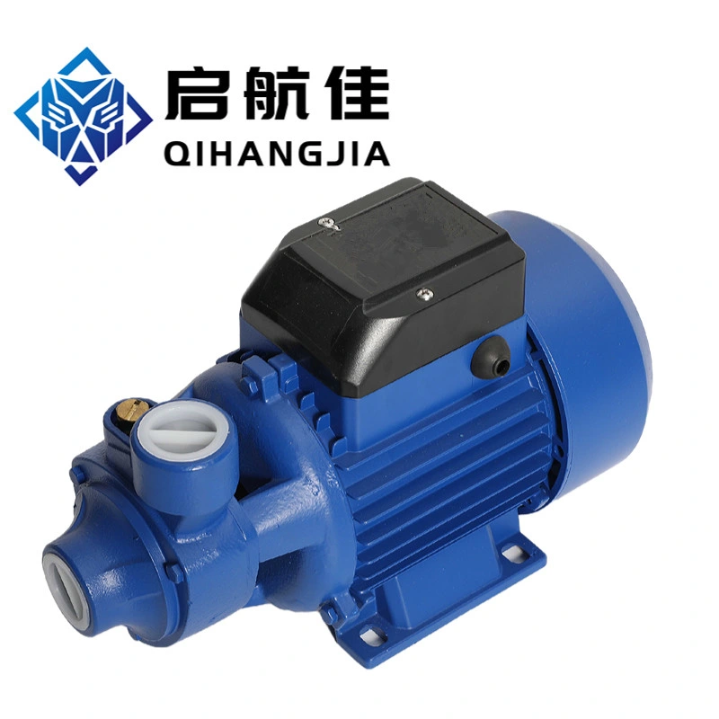 Best Price Qb Series Electric Motor Vortex Water Pump for House Use
