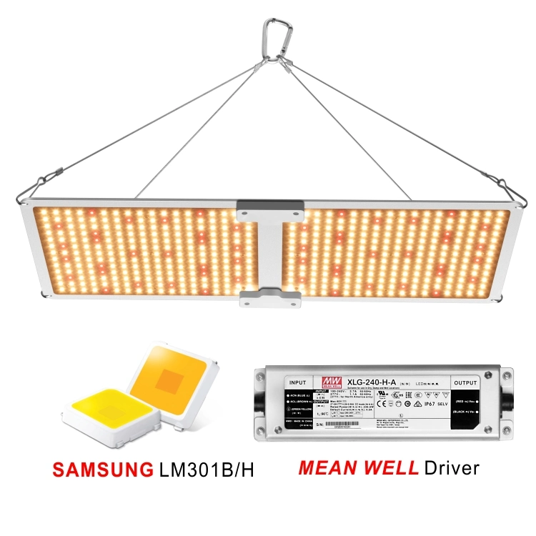 240W Qb Junta Growlight Licht SMD ahora IR UV roja brillante Rey Fluence Horticole 200W 220W 240W Espectro Horticultura crecimiento de las plantas crecen Quantum de luz LED