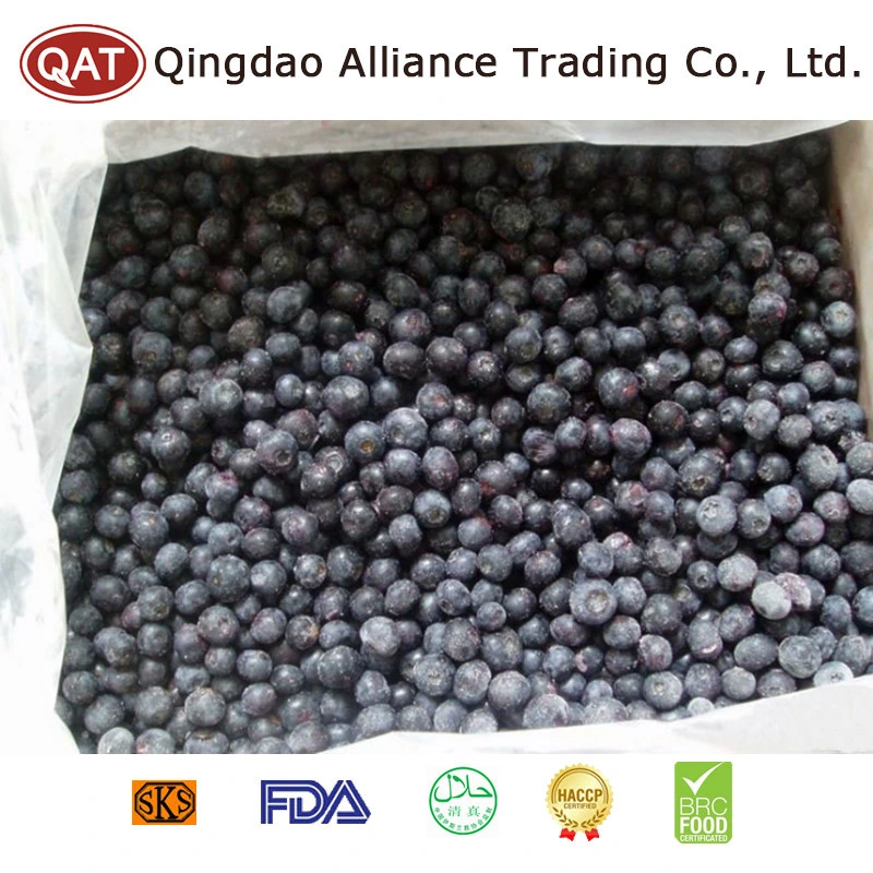 New Season Natural Organic Frozen Blueberry with Good Price Bulk IQF