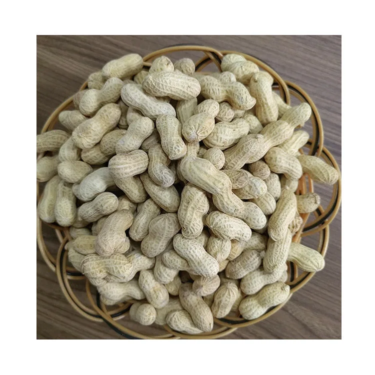 Best Quality New Crop Groundnut in Shell Peanut