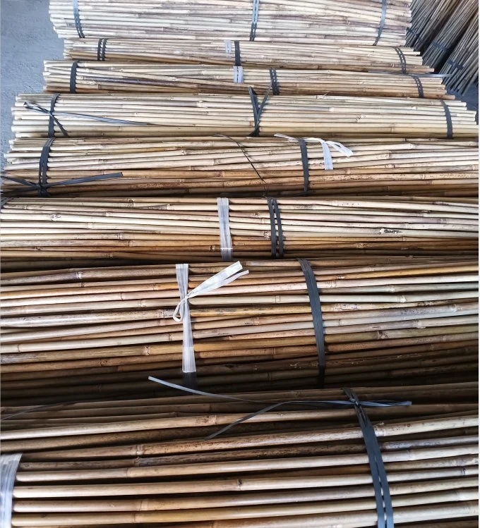 Bamboo Poles for Plant Support Stick