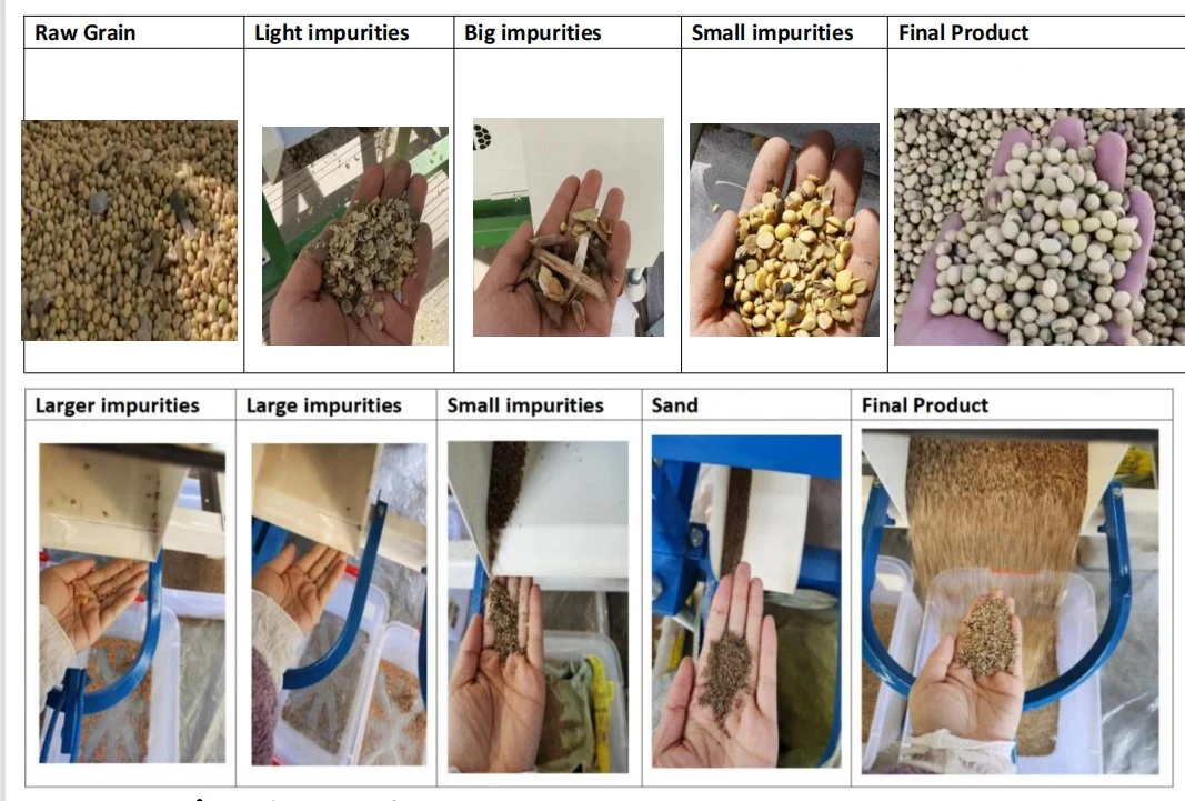 High quality/High cost performance  Mobile Seed Grain Bean Processing and Sorting Machine