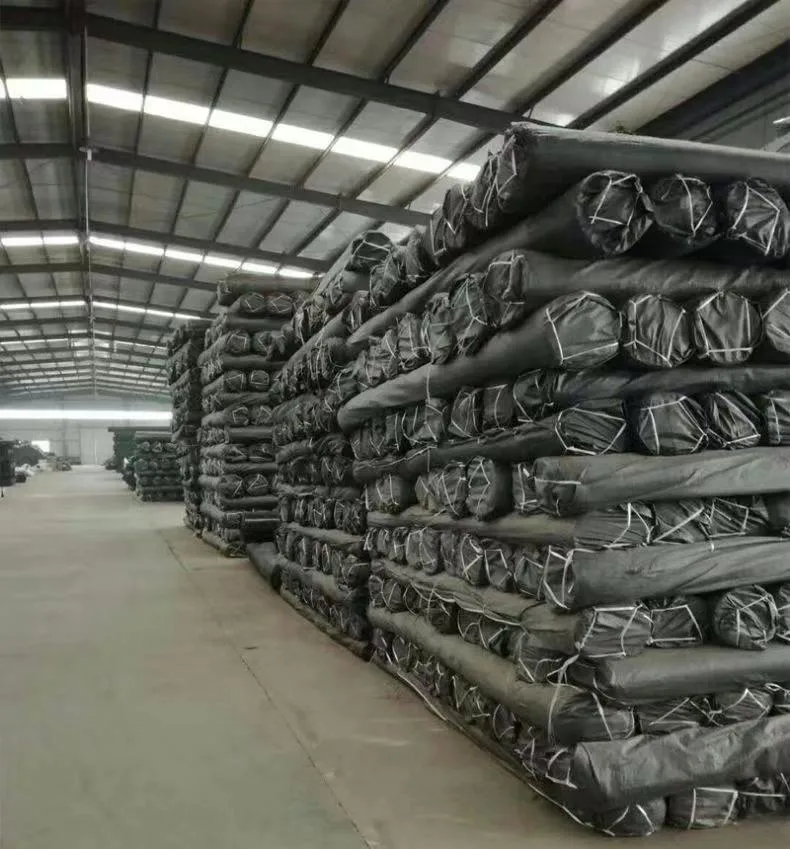 Glolable Sale High quality/High cost performance  Fiber Glass Geogrid Composite with Geotextile for Civil Works