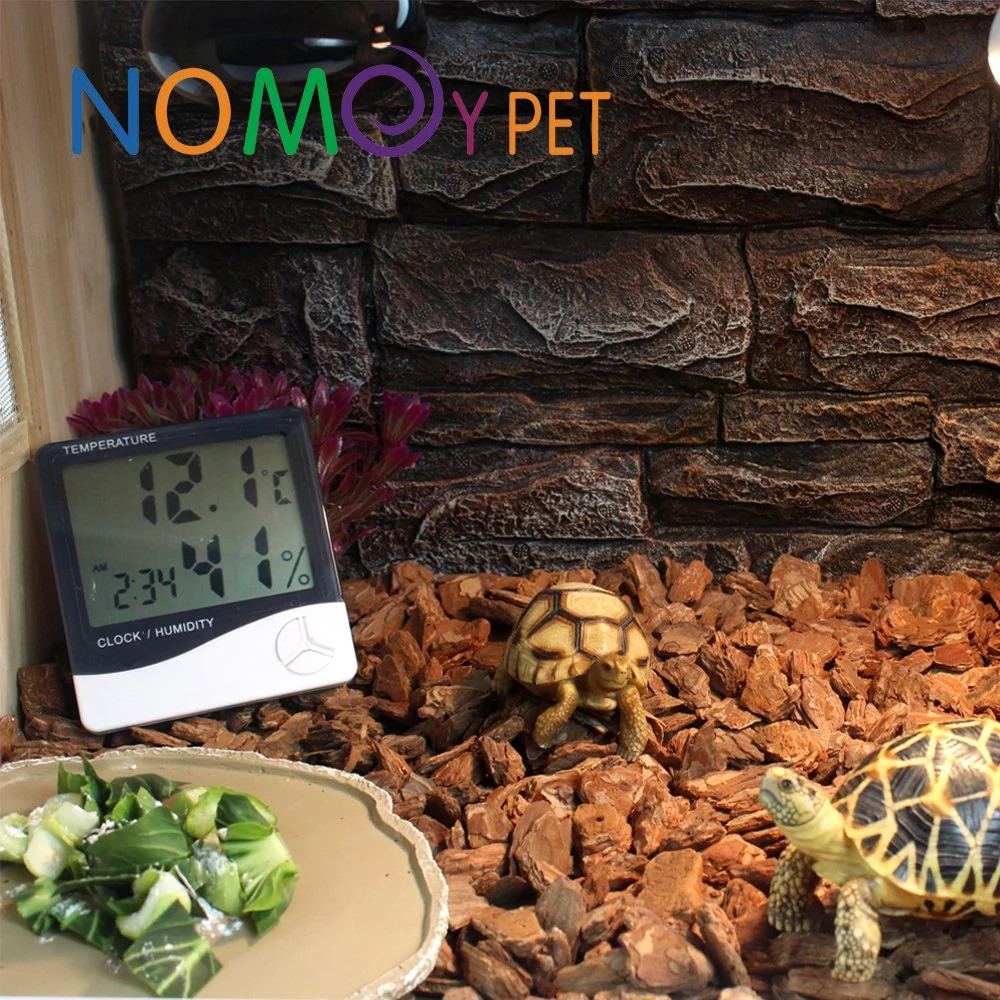 Nomoy Pet Feeder Bowl Basin Resin Non-Toxic Food Water Reptile Food Water Bowl Dish Feeder Reptile Turtle Tortoise Scorpion Lizard Crabs Pets Supplies