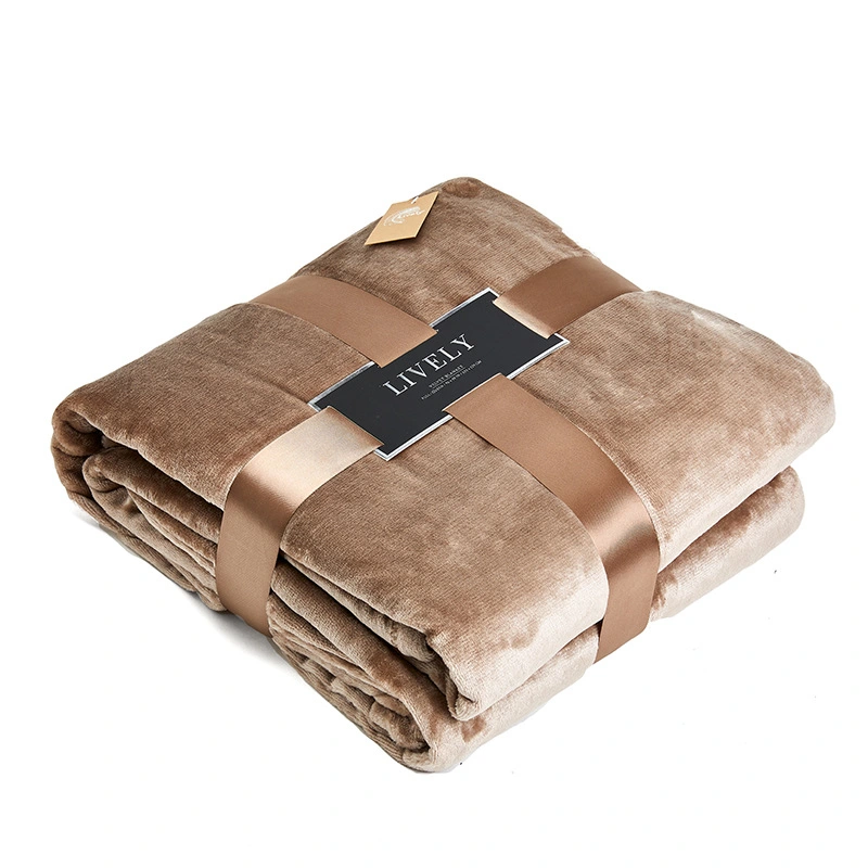 Hot Selling Soft Warm Flannel Polyester Cotton Skin Friendly Blankets