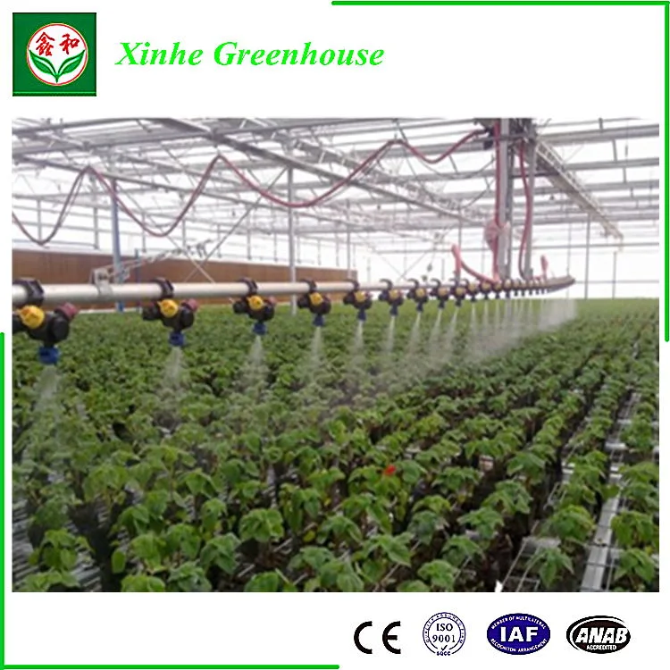 Greet Eeconomic Benefit PC Sheet Greenhouse for Planting