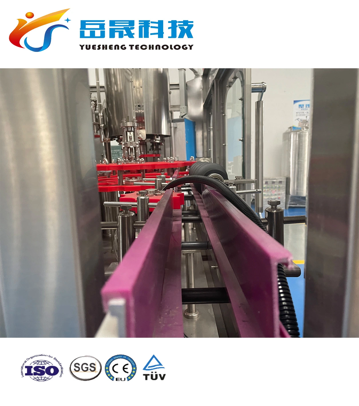 Automatic Complete Fruit Juice Making Plant Concentrate Juice Filling Machine Production Line