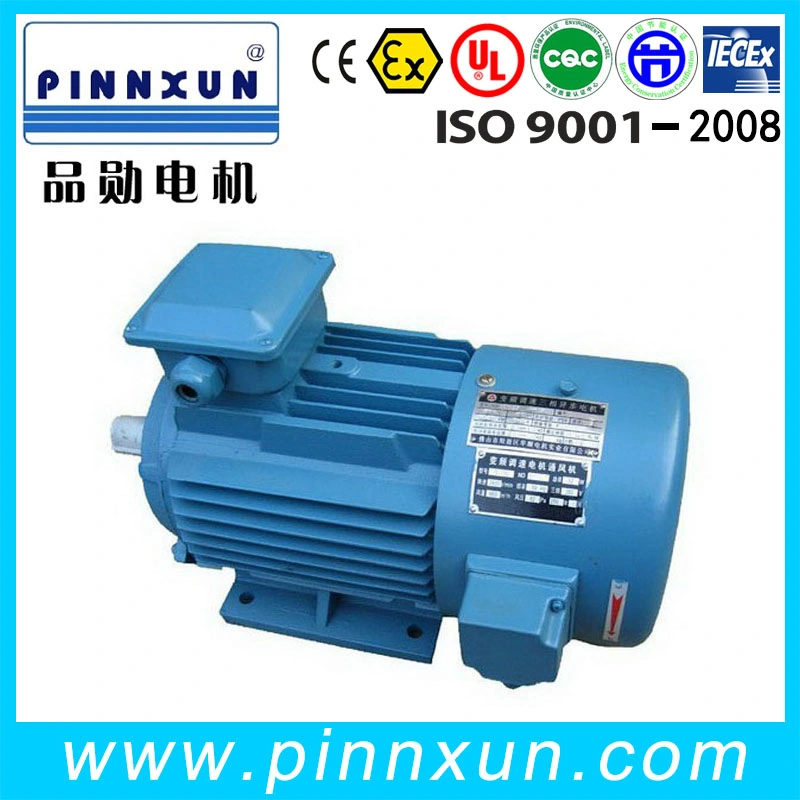 Variable Frequency Speed Regulation AC Motor 160kw