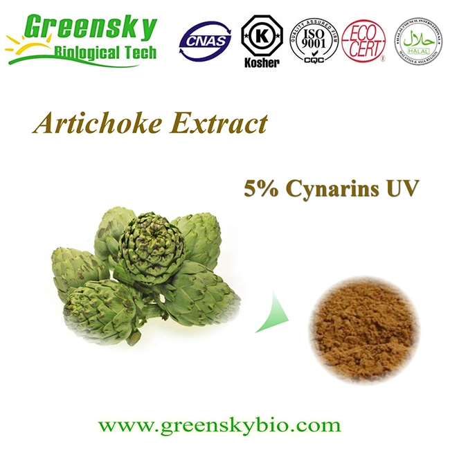 Herbal Extract Type and Powder Form Artichoke Leaf Extract