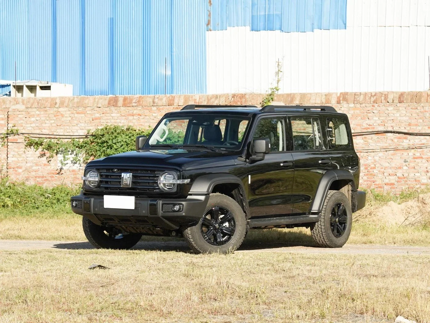 Tank 300 2023 off-Road Version 2.0t Challenger Compact SUV