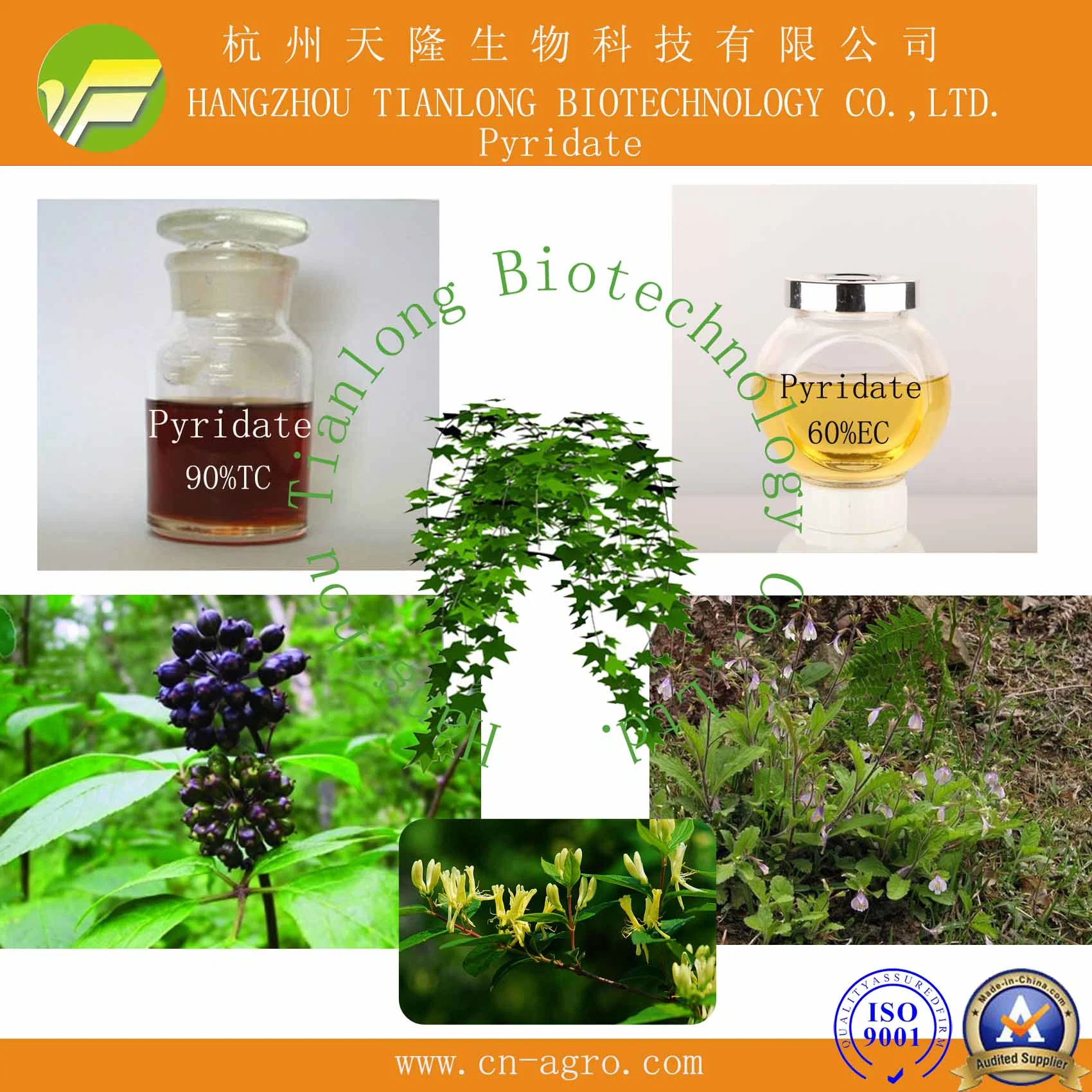 Highly Effective Herbicides Pyridate (90% TC, 60% EC)