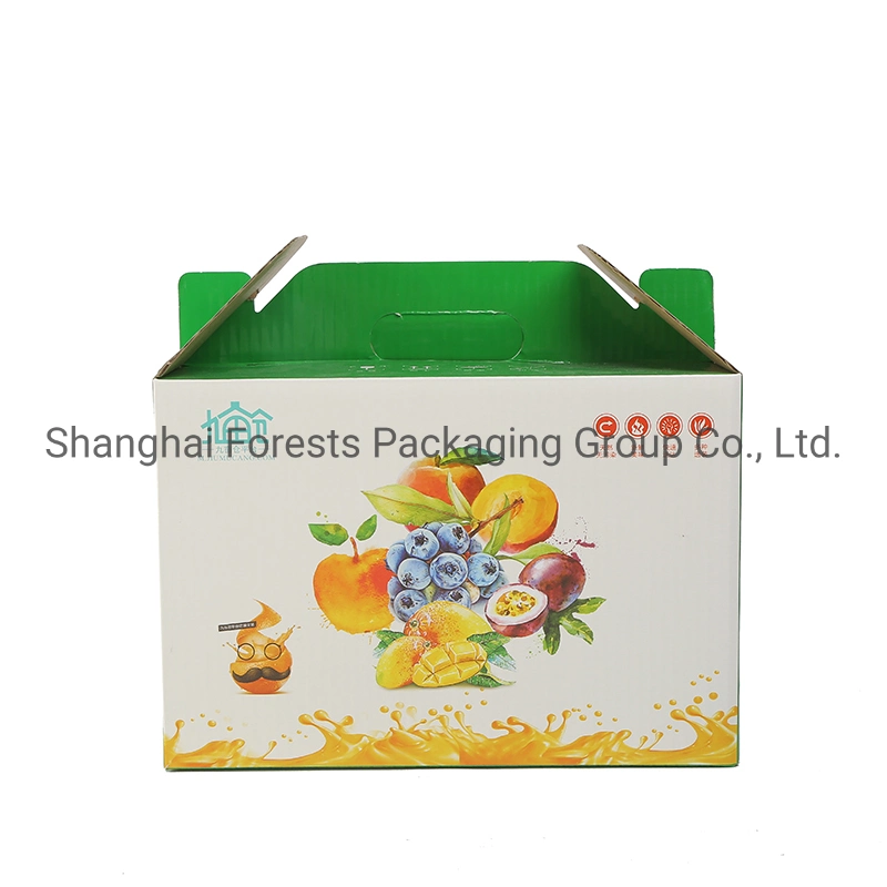 Custom Printing Wholesale/Supplier Food Fruit Vegetables Gift Shipping Box Paper Box