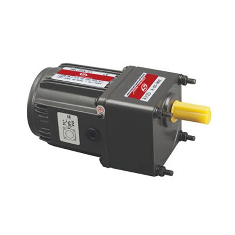 25W 30W 80mm AC Induction Gear Motor with Brake for Lifting Mixer