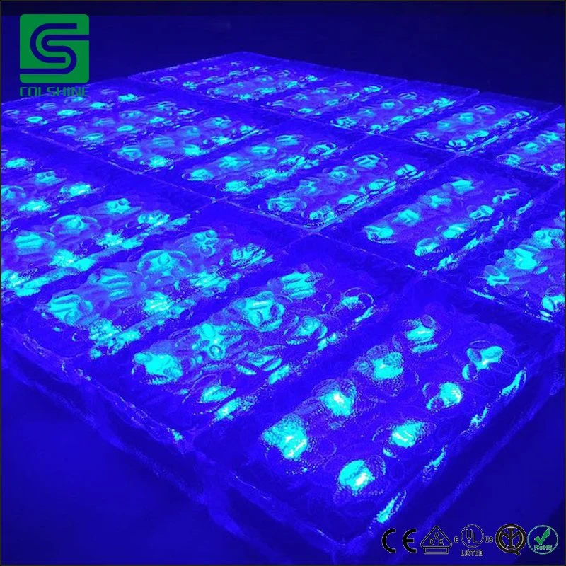 Outdoor Waterproof IP68 LED Ice Paver Solar Powered Brick Light for Garden Pathway