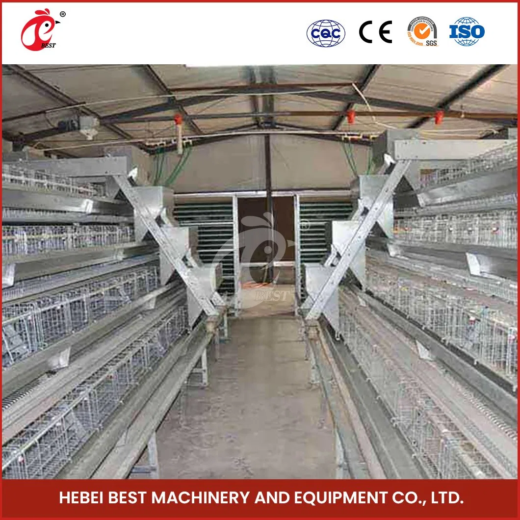 Bestchickencage Ordinary Type Layer Cage China Basic Chicken Layer Coop Manufacturer Easy Clean Feature Chicken Eggs Layer Cages with Automatic Feeder