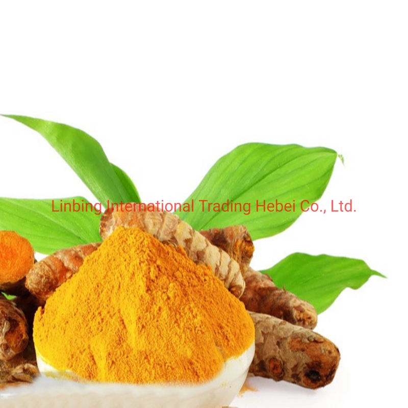 Food Grade with Good Price Turmeric Extract Curcumin Powder