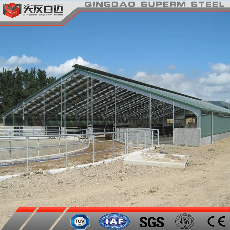 Customized Design Prefabricated Livestock Building Steel Structure Cattle Shed