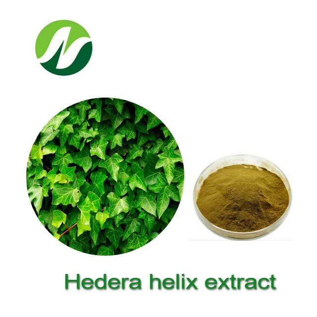 Pure Natural Hederagenin 1.0% Hedera Helix Extract