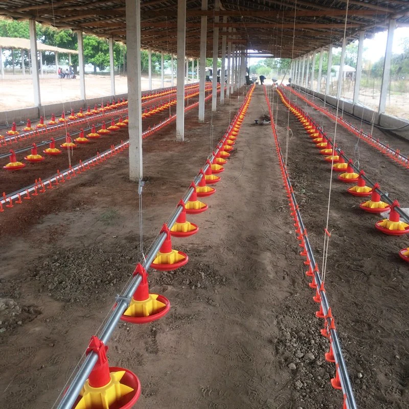 Controla las granjas de aves de corral pollo automático sistema de alimentación para el criador de pollos