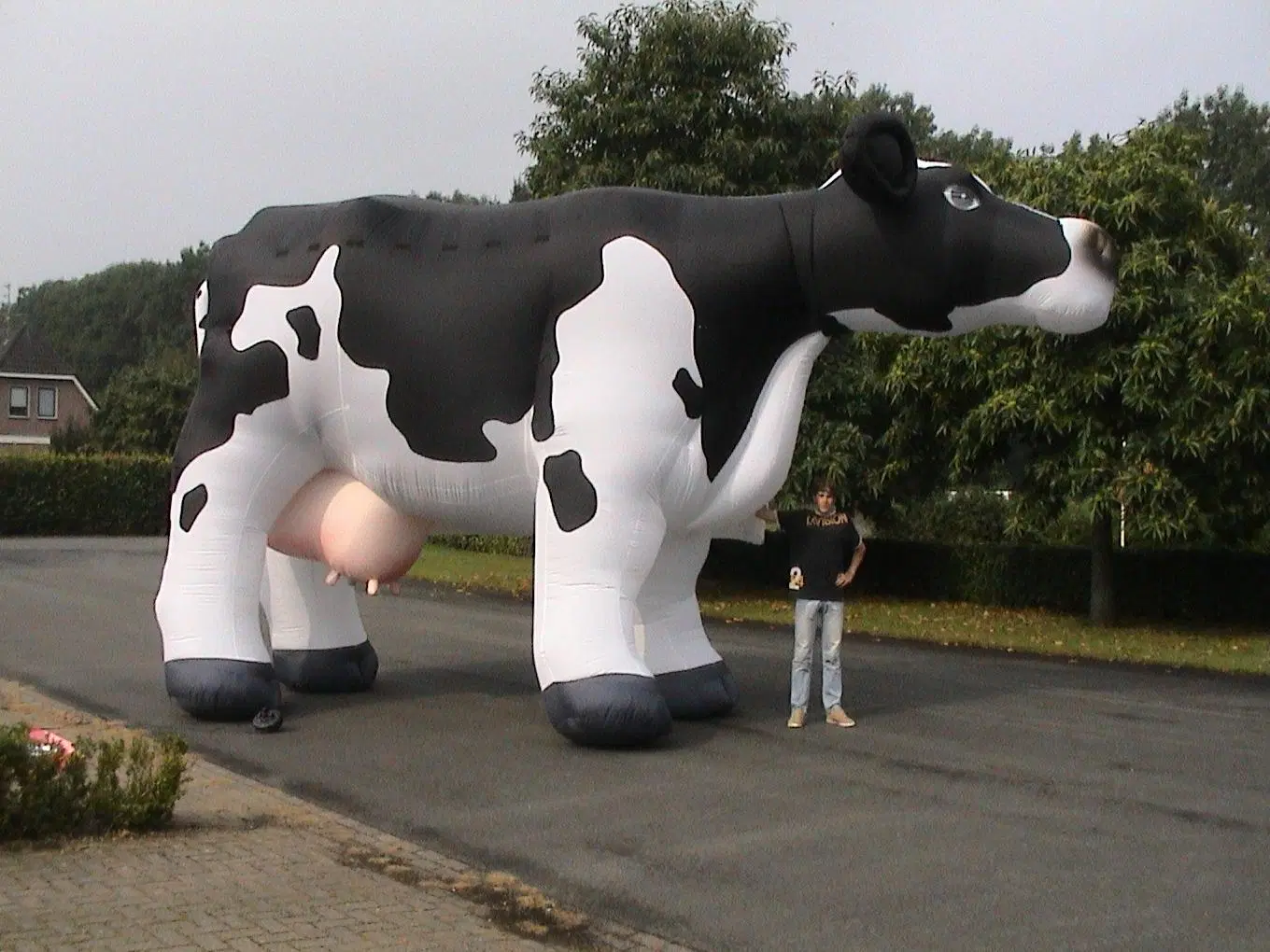 Advertising Inflatable Milk Cow Cartoon Model for Shopping Mall Decoration