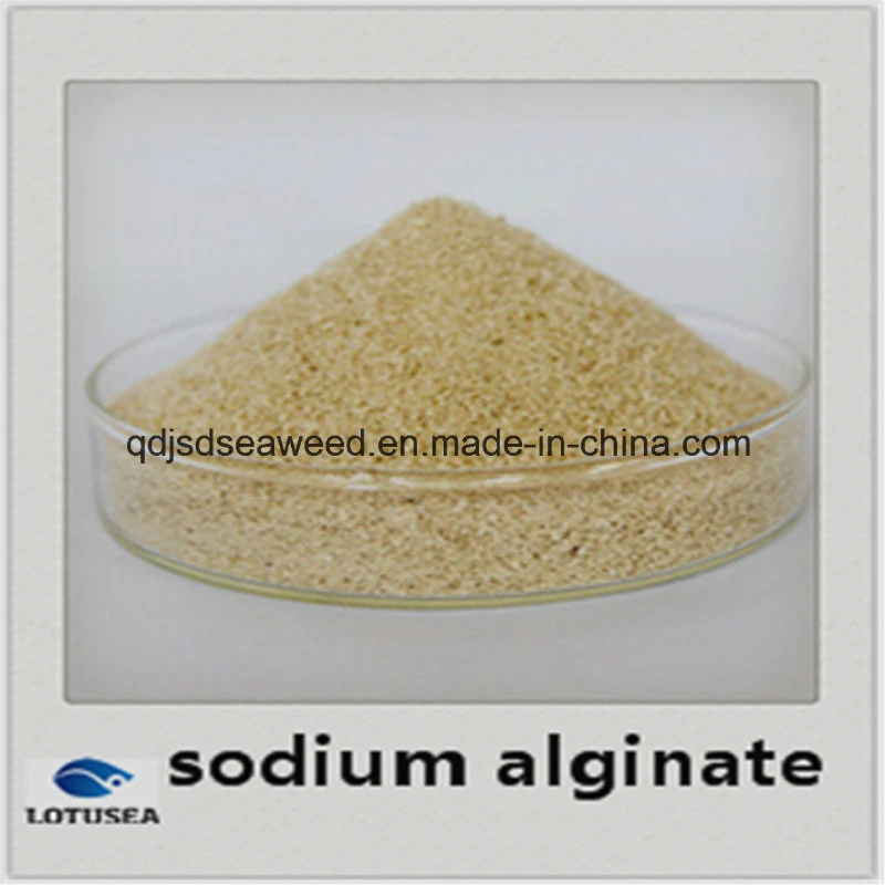 Sodium Alginate for Textile Reactive Dye Use 100mesh 2500cps