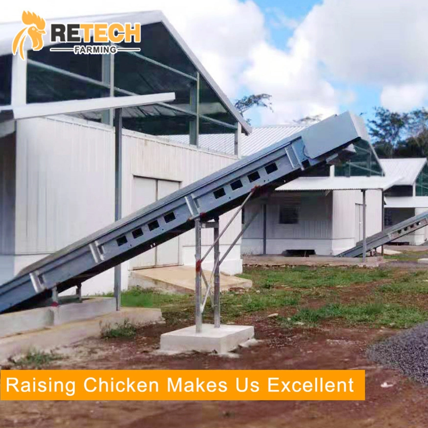 Durable Fully Automatic Hot Dipped Anti-Rust Galvanized A H Type 3 4 Tiers Layer Brooding Chicken Battery Cages for Laying Hens