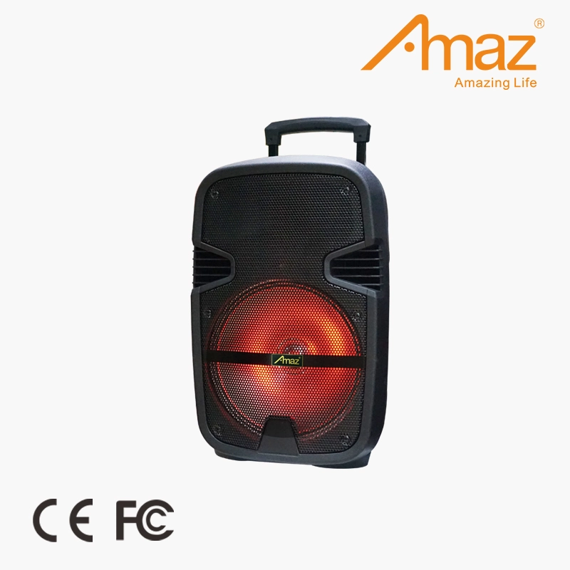 Amaz Original Factory Wholesale/Supplier Price 12 Inch Wireless Bt Speaker Trolley Speaker for Party