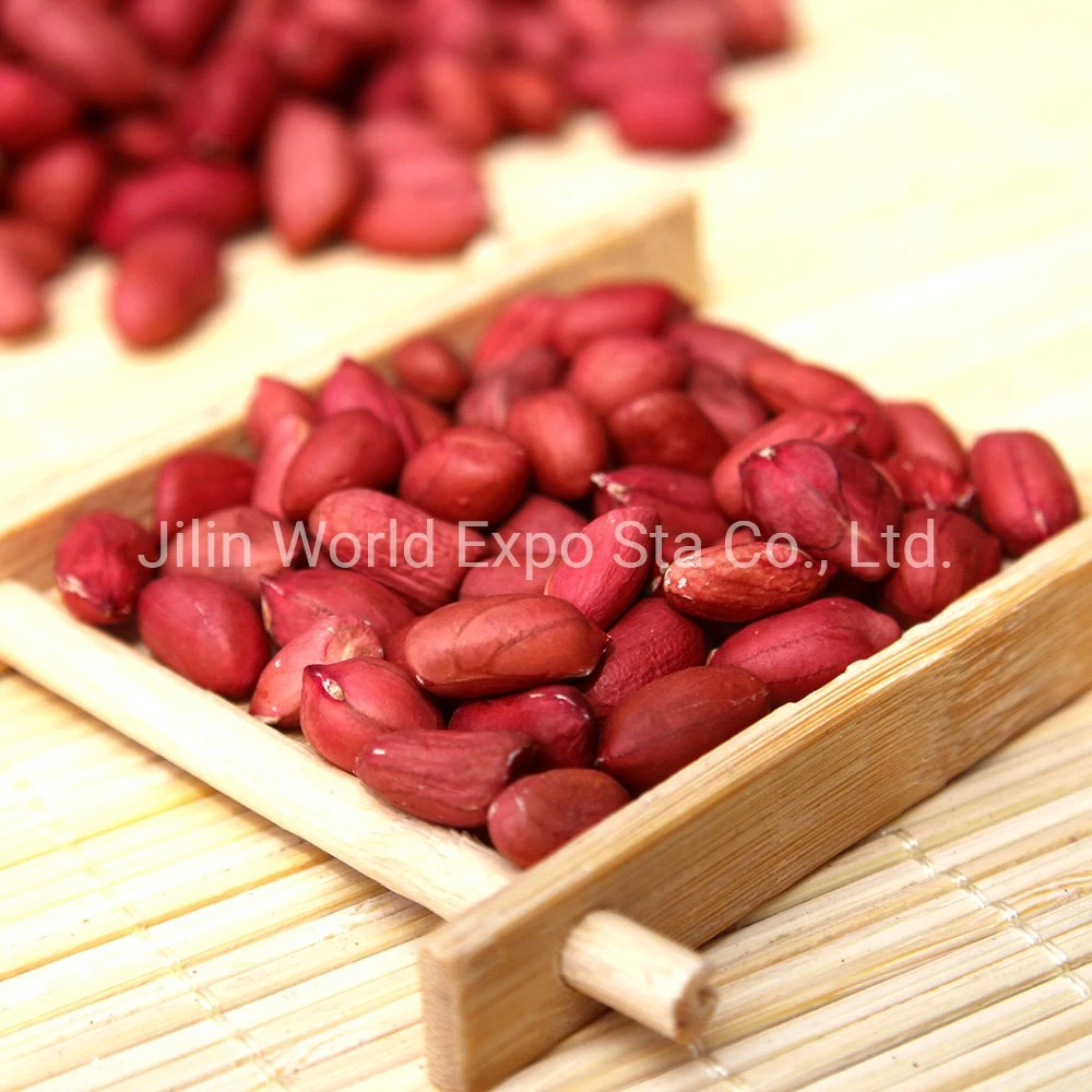 Peanut Kernels with Red Skin 80/100 From Professional Factory